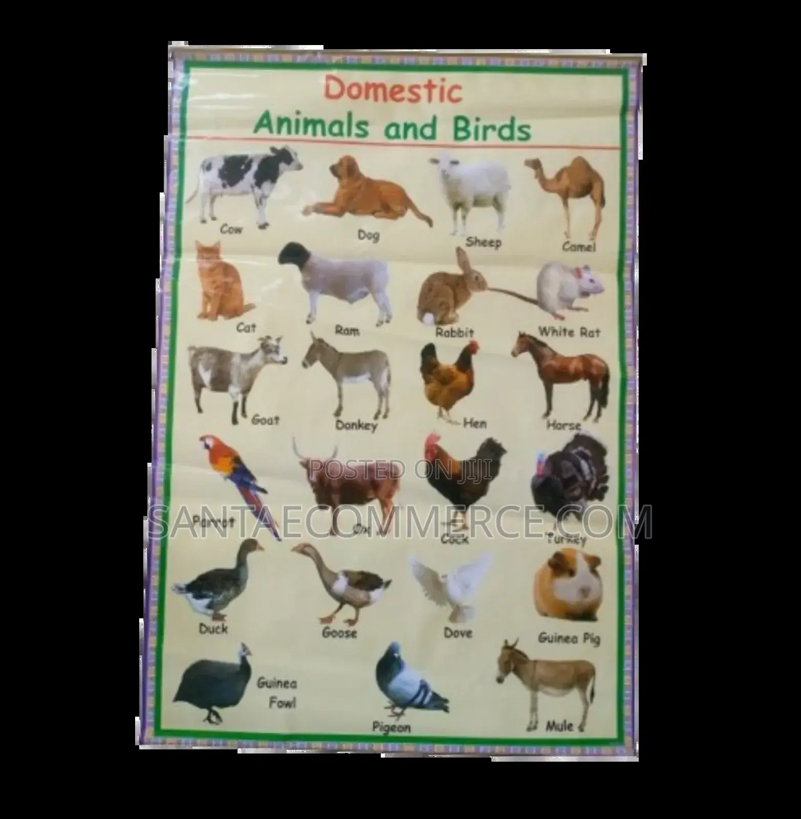 Domestic Animal And Birds Wall Chart