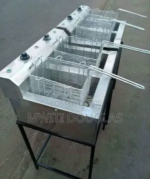 Large Impressive Double Friyer