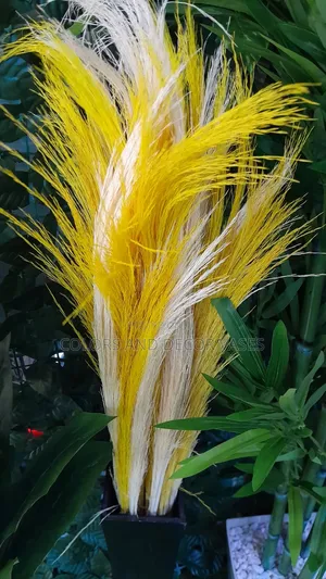 Yellow White Grass Home Decor