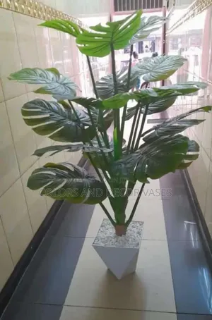 1.6m Long Monstera and Vase Plus Stones White