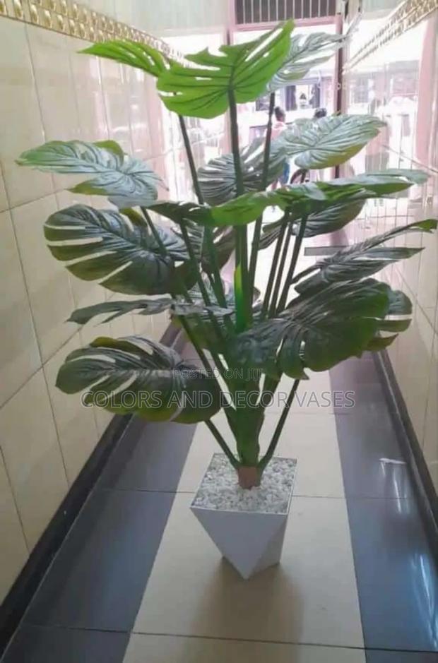1.6m Long Monstera and Vase Plus Stones White