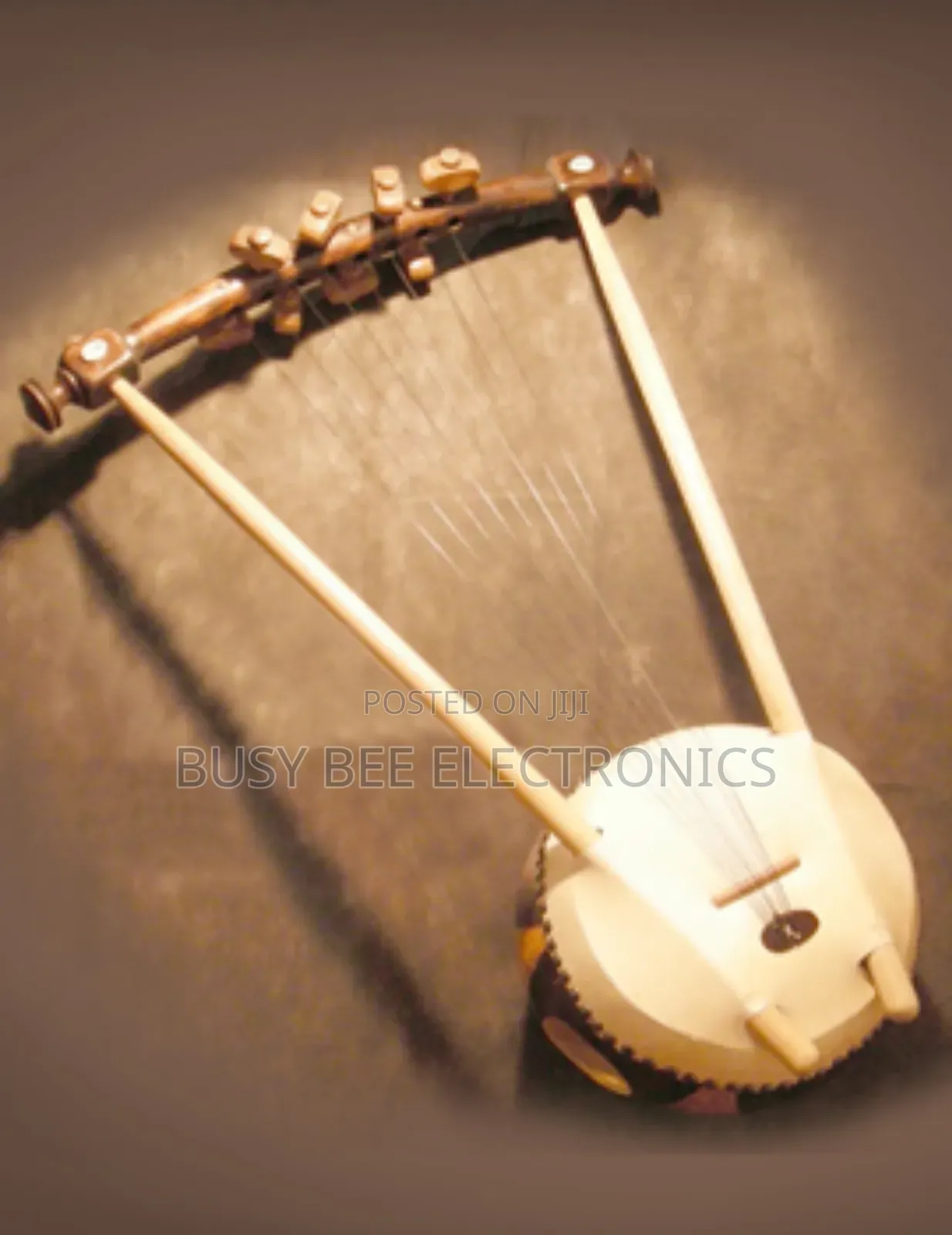 Nyatiti Instrument