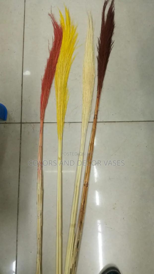 Pampas 4 Bunches(20sticks) KSH 600