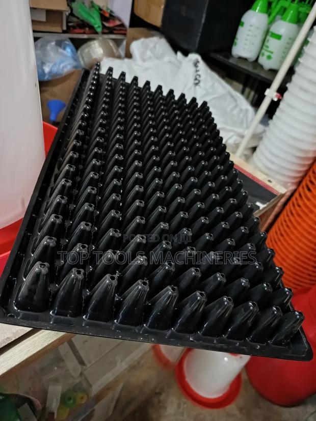 Seedling Growers - thumbnail 3