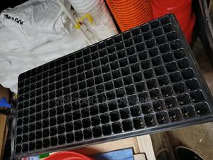 Seedling Growers - thumbnail 2