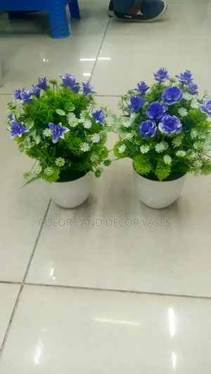 Purple Bonsai Potted Plants