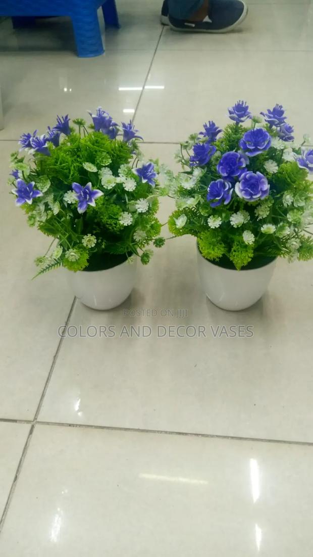 Purple Bonsai Potted Plants - main view