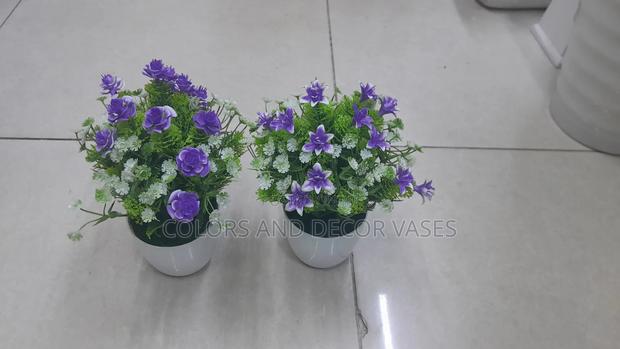 Purple Bonsai Potted Plants - thumbnail 3