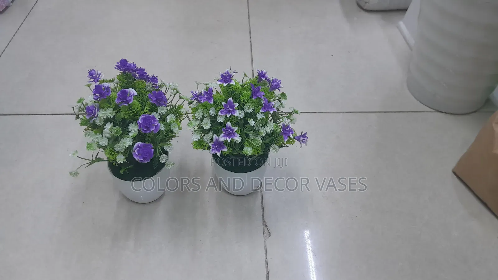 Purple Bonsai Potted Plants