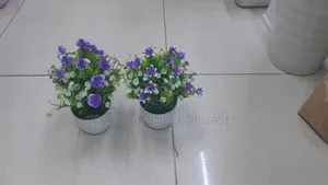 Purple Bonsai Potted Plants