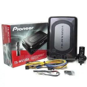 High Quality- Piooner Underseat Subwoofer Ts-Wx120a 150w