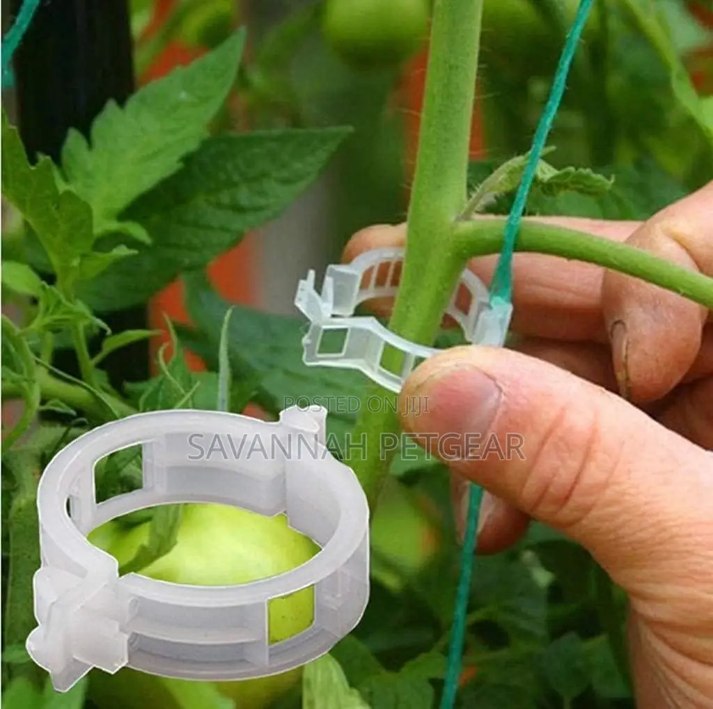 1000 PCS Vine, Tomato Clips for Plants Support Garden Clips