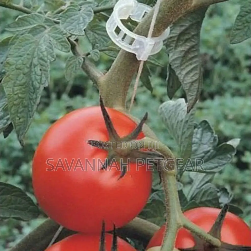 1000 PCS Vine, Tomato Clips for Plants Support Garden Clips