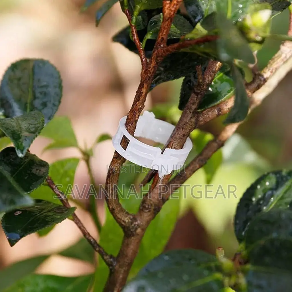 1000 PCS Vine, Tomato Clips for Plants Support Garden Clips