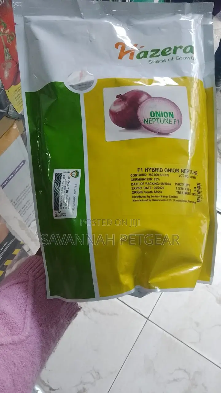 F1 Hybrid Neptune Onion Seeds 1kg