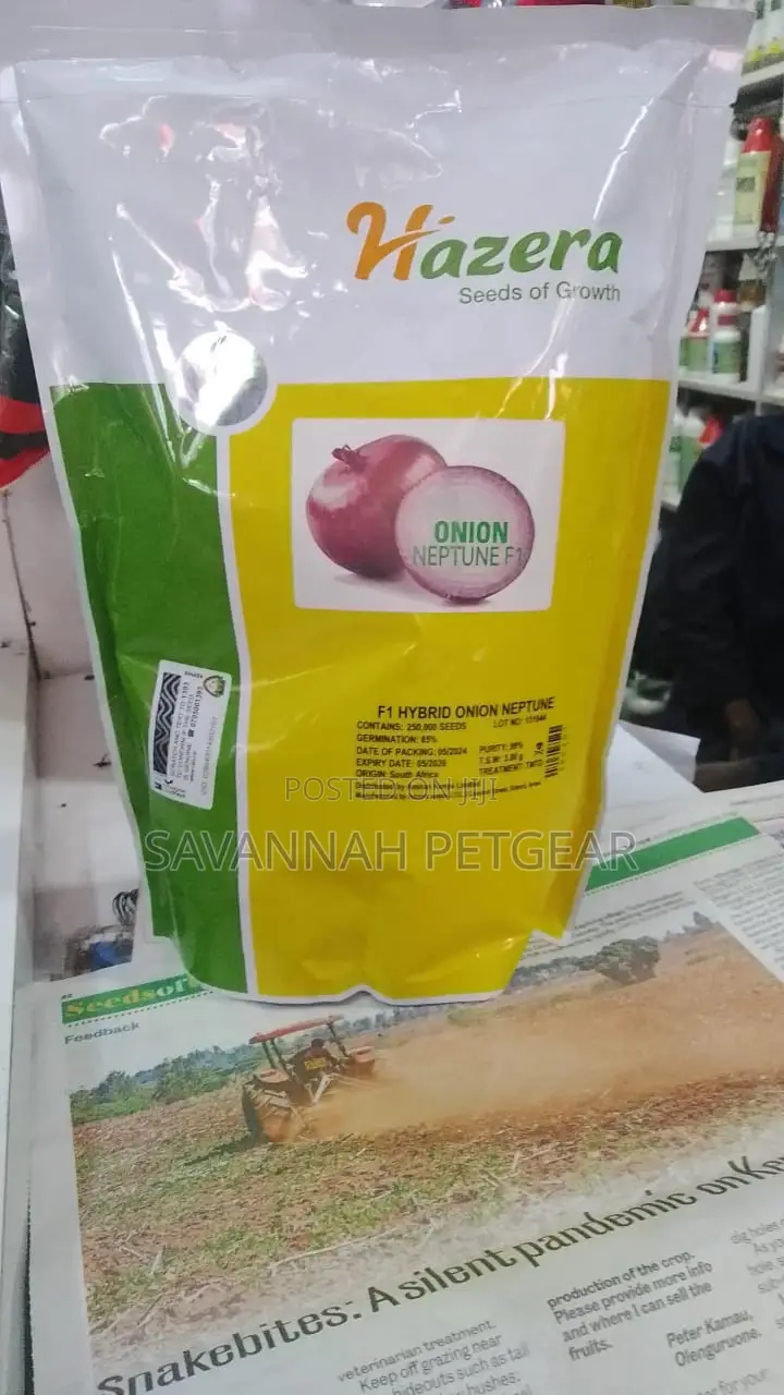 F1 Hybrid Neptune Onion Seeds 1kg