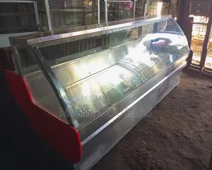 Large Modernized Shinny Meat Chiller