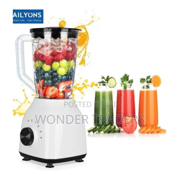 Blender/Ailyons 2in1 Blender - main view