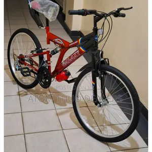 Brand New Size 24 Adult Bike