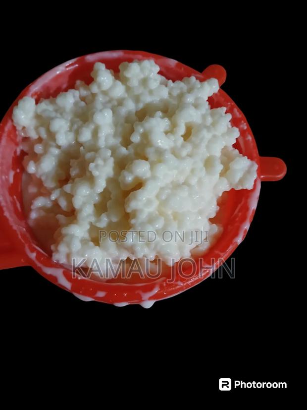 Kefir Grain - main view