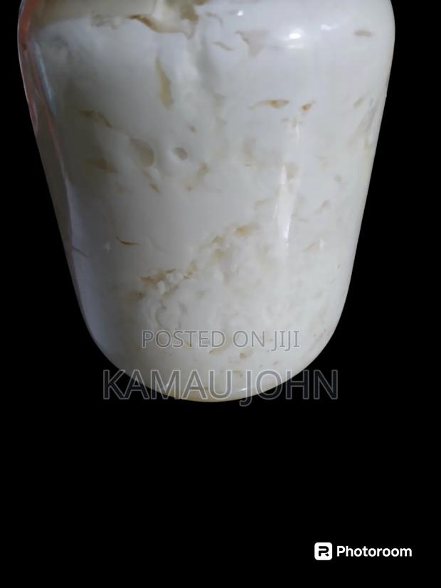 Kefir Grain - thumbnail 3