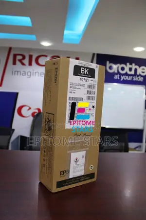 Epson T9731 Ink Best in the Town