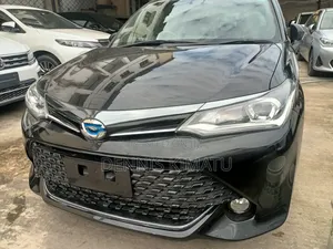 Toyota Corolla Fielder 2017 Black