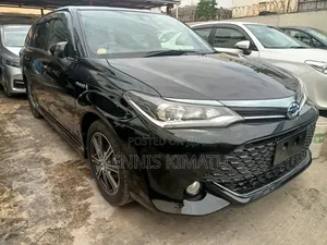 Toyota Corolla Fielder 2017 Black