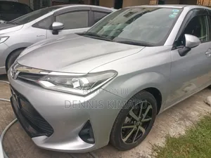 Toyota Corolla Fielder 2018 Silver