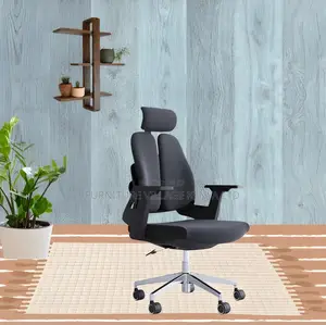 Executive Ergonomic Office Chair
