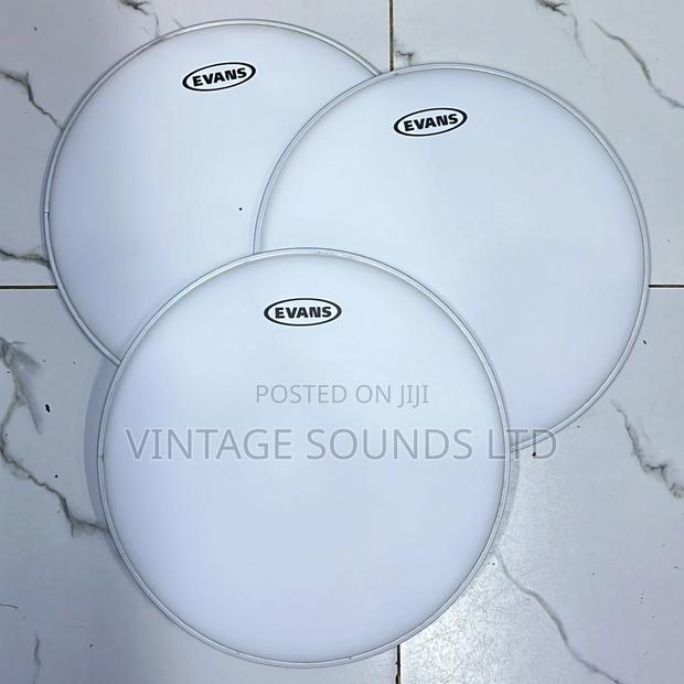 Evans Snare Drum Head 14”/ Drum Membrane - main view