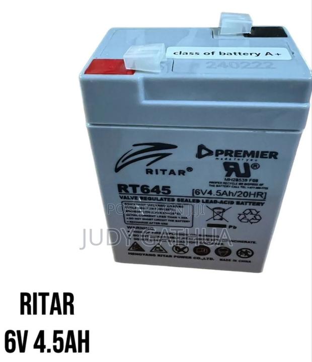 Ritar Battery 4.5v