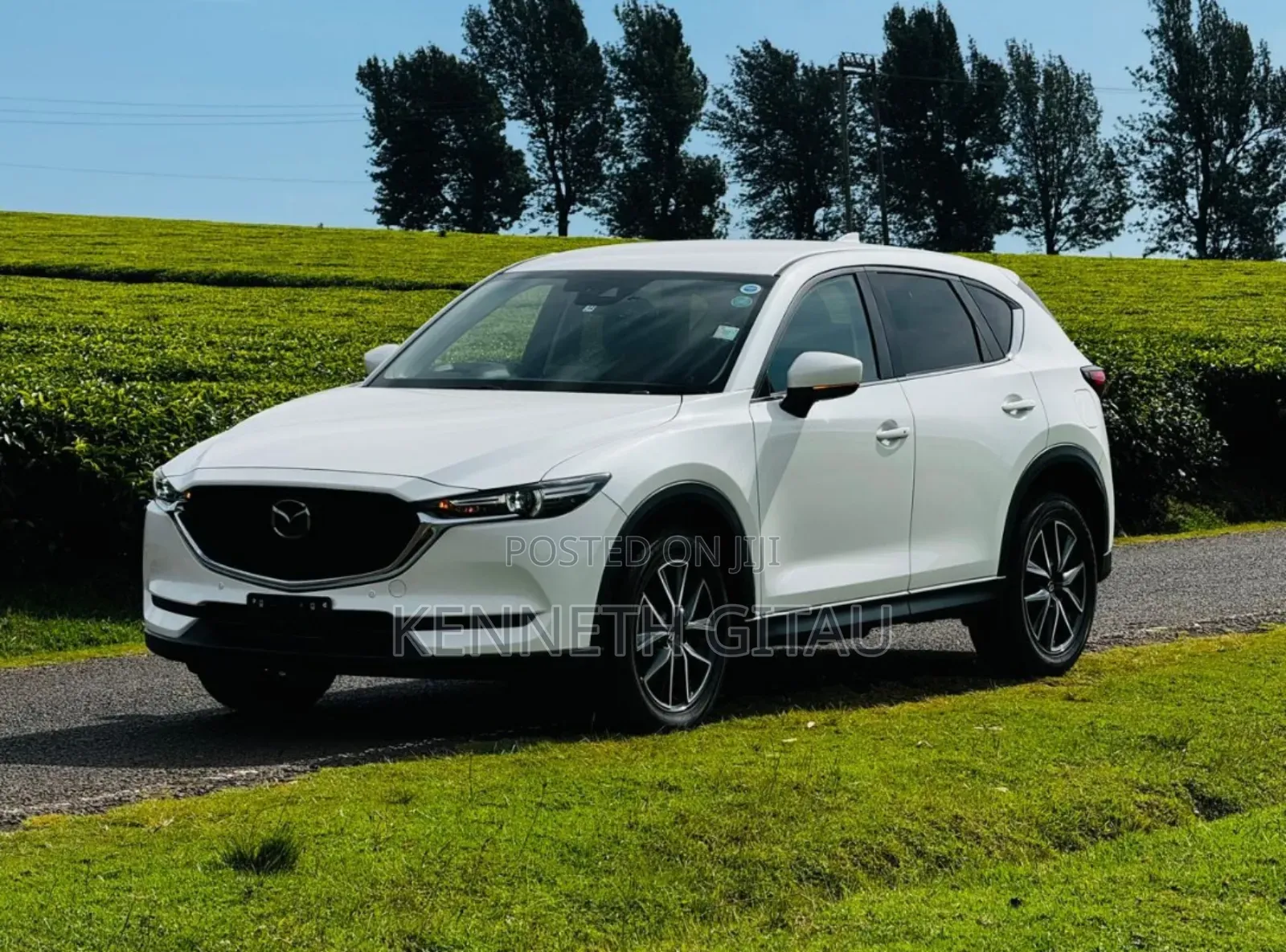 Car Hire Services