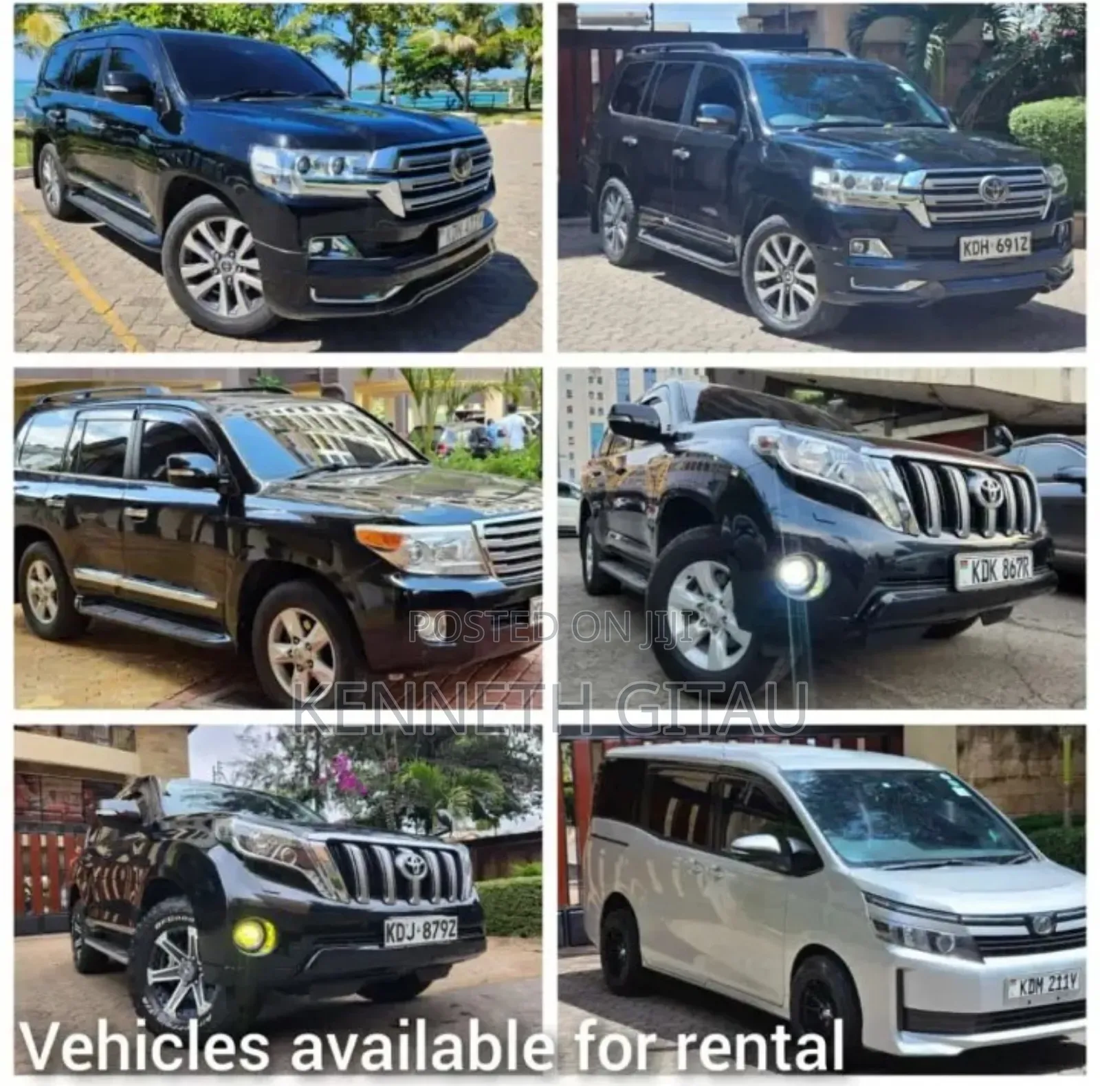 Car Hire Services