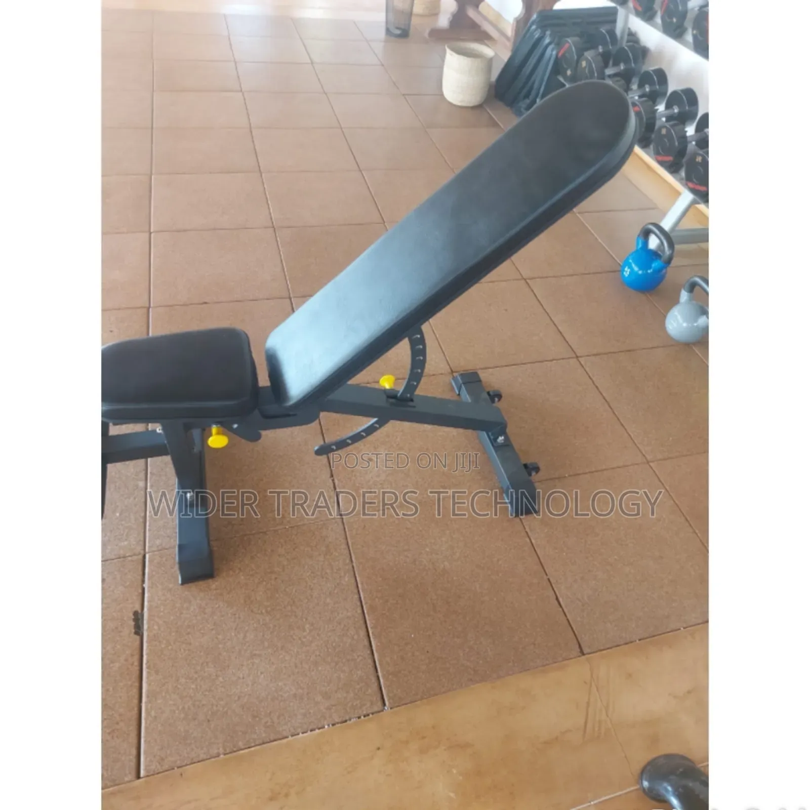 Adjustable Dumbells Bench