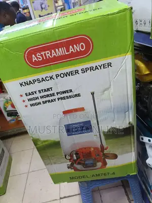 Commercial 25l Gasoline Knapsack Sprayer