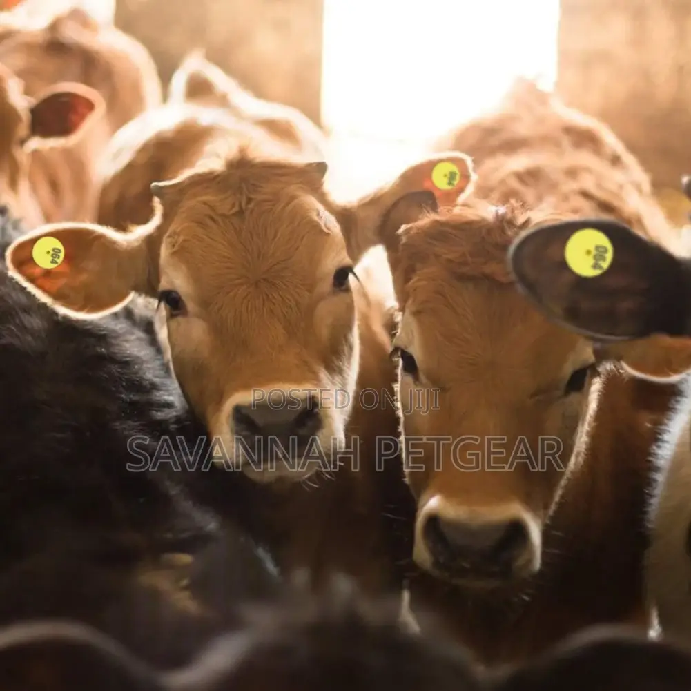 Round Number Ear Tag Marker for Pig Sheep Cattle - 100pcs