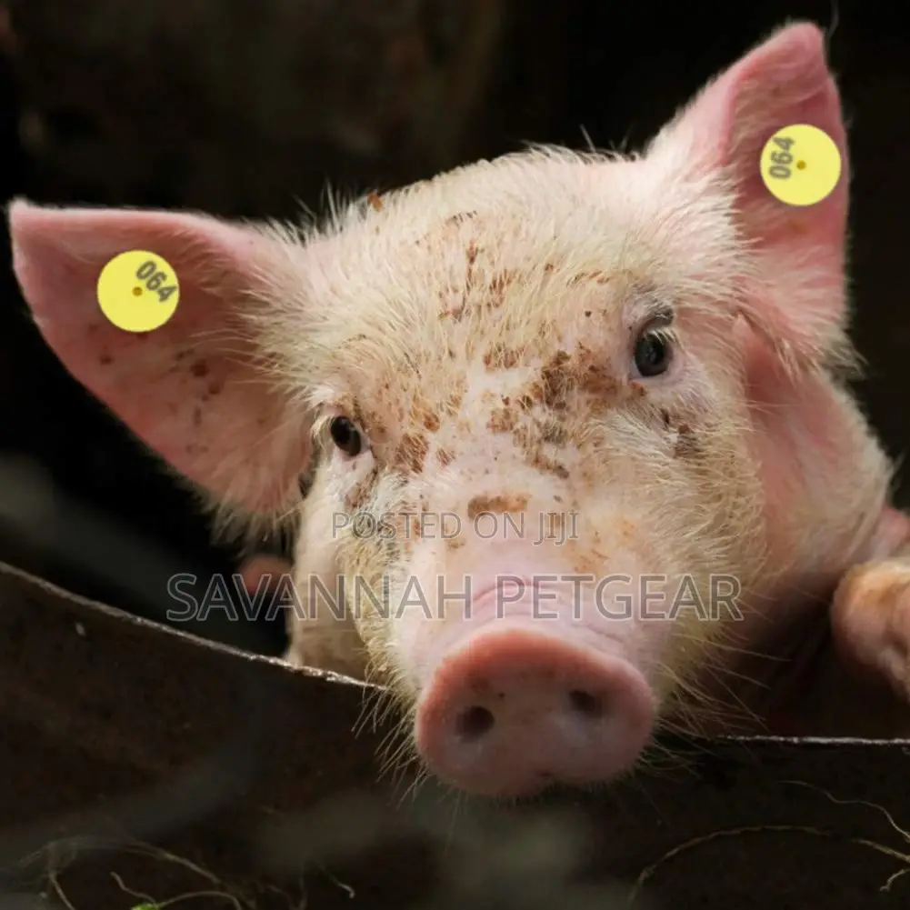Round Number Ear Tag Marker for Pig Sheep Cattle - 100pcs