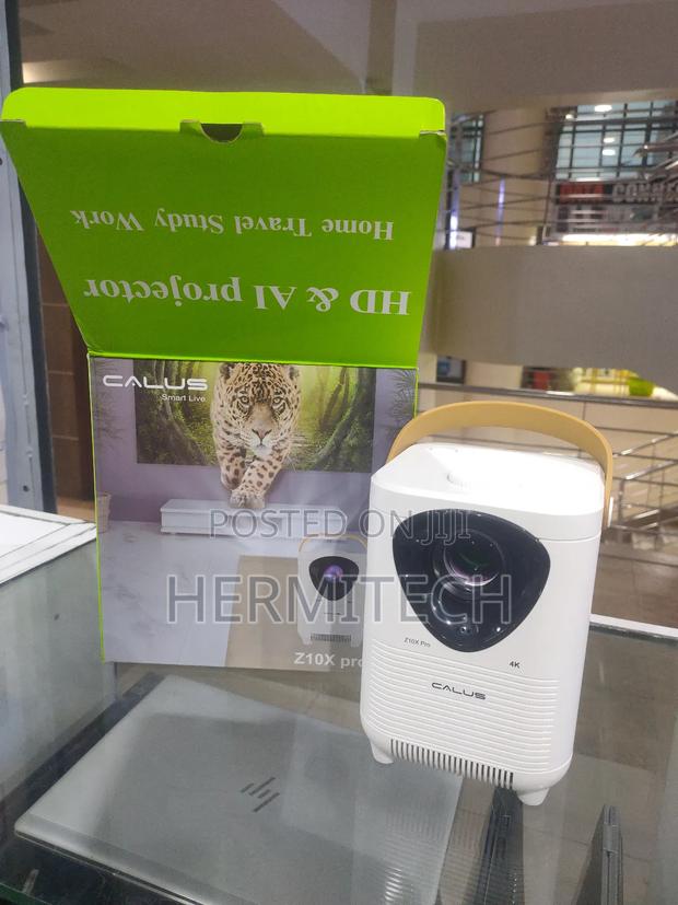 Calus Projector - main view