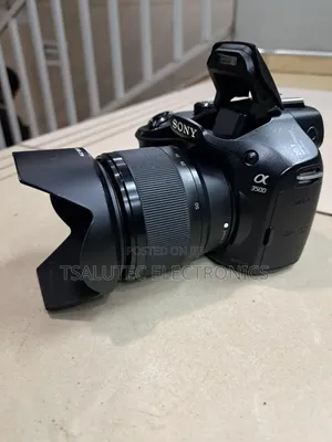Sony Mirroless Camera