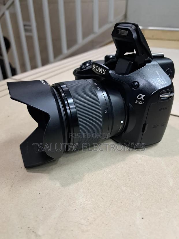 Sony Mirroless Camera