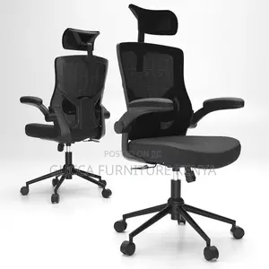 Ergonomic Desk Chair, High Back With Adjustable Height