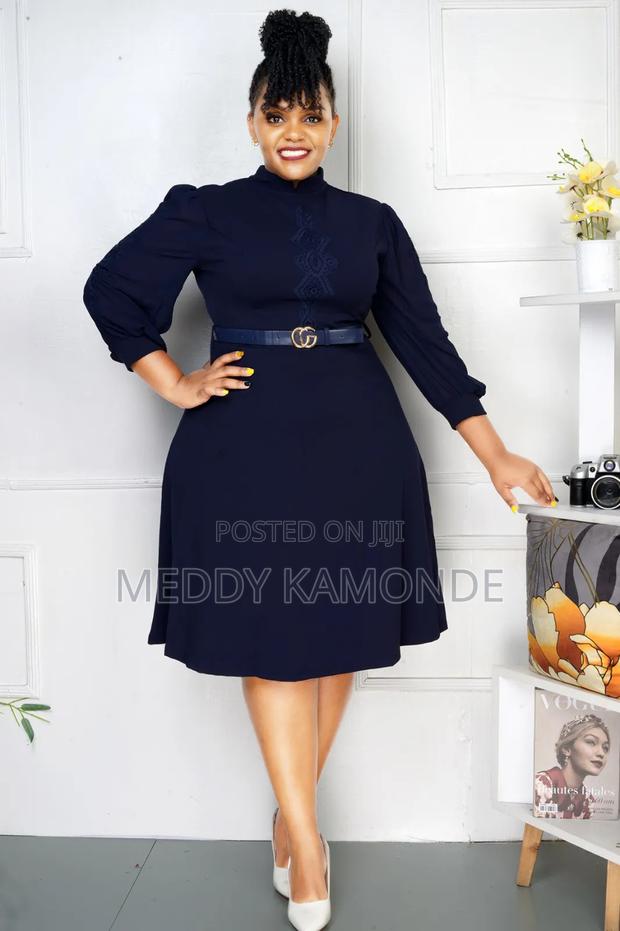Designer Skater Dress