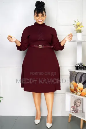 Designer Skater Dress