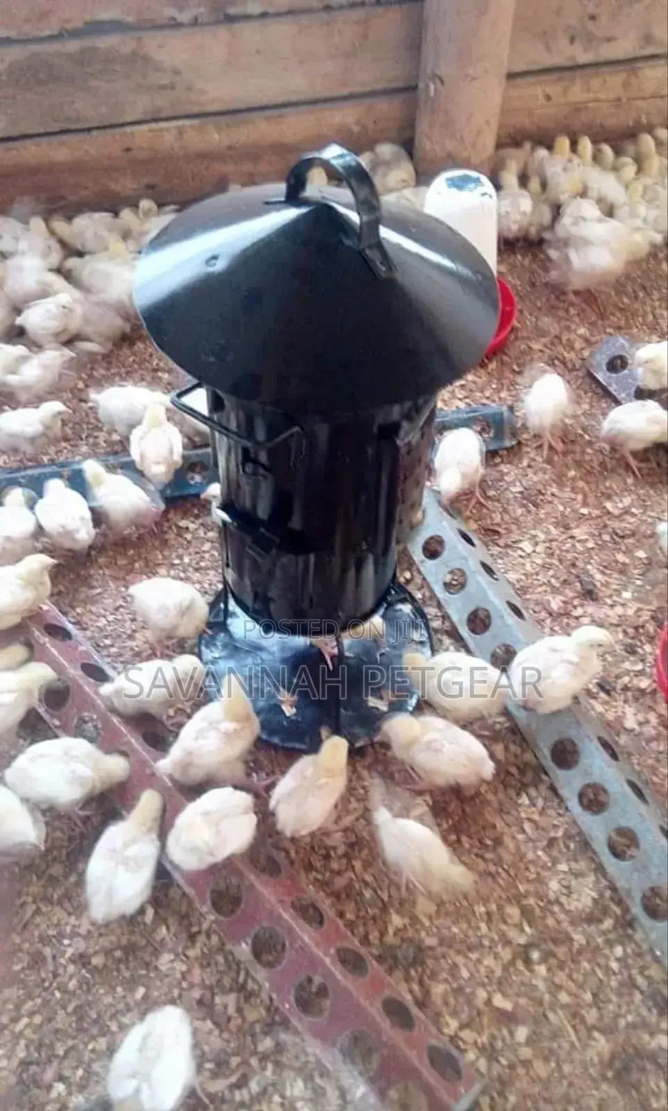 Efficient and Durable Brooder Jikos Are for Sale - Medium