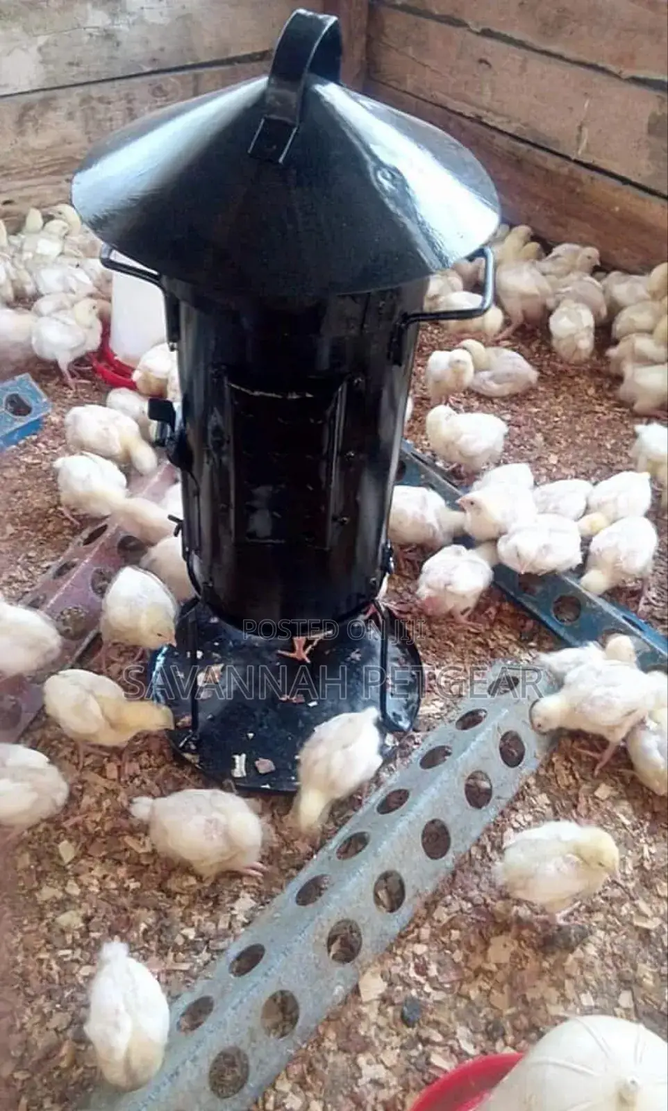 Efficient and Durable Brooder Jikos Are for Sale - Medium