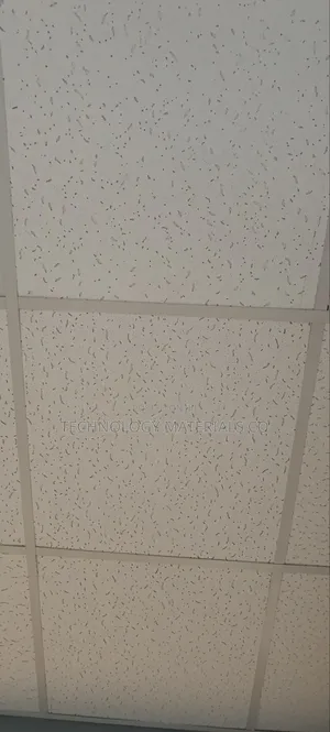 Mineral Fiber Acoustic Ceilings(15mm),Without Accessories.