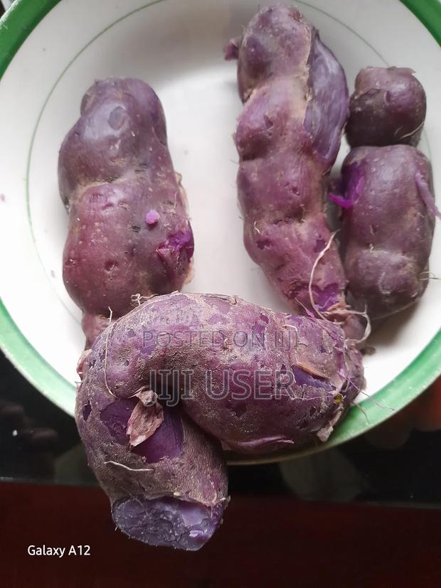 Purple Sweet Potato Vines - main view