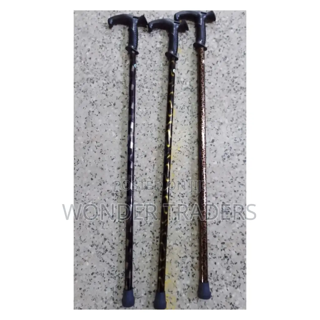 Walking Stick Walking Stick