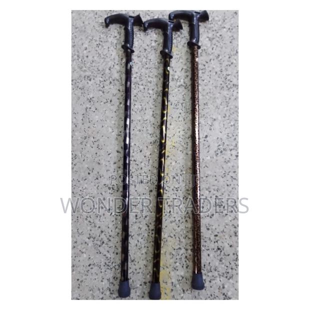 Walking Stick Walking Stick
